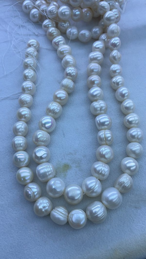 large freshwater ridges pearls