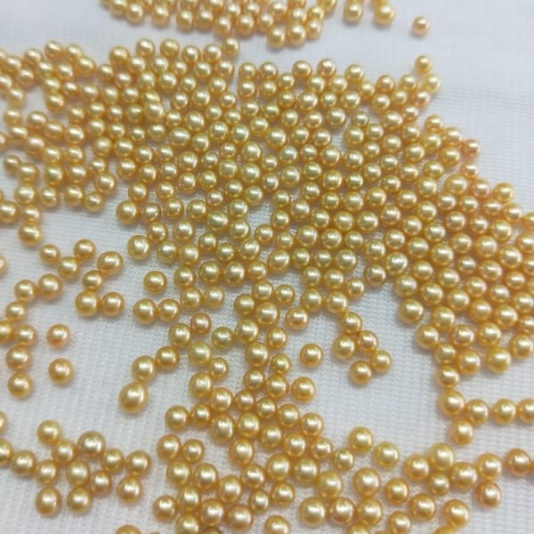 small size 3mm golden freshwater off round loose pearl beads for wholesale undrilled