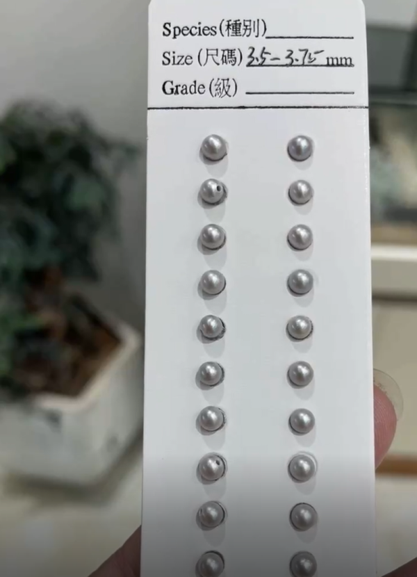 small grrey round pearls
