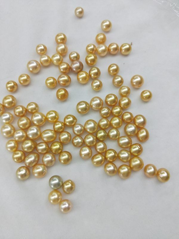 golden south sea pearls