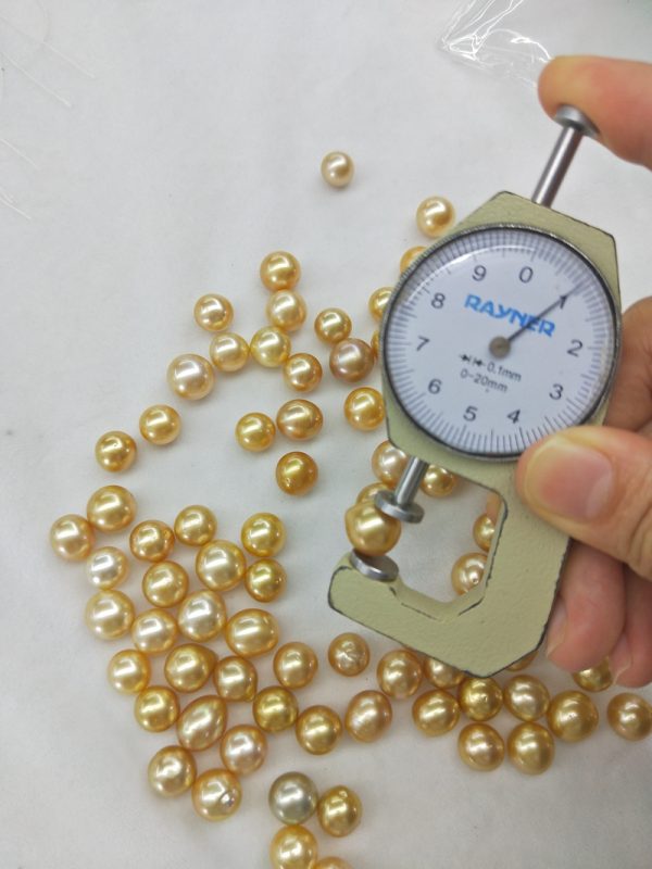 10-11mm off round HIGH LUSTER GOLD SOUTH SEA PEARL LOOSE BEADS - Image 3