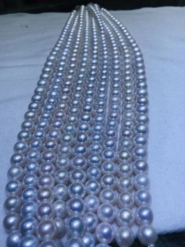 white round Freshwater Pearl Beads