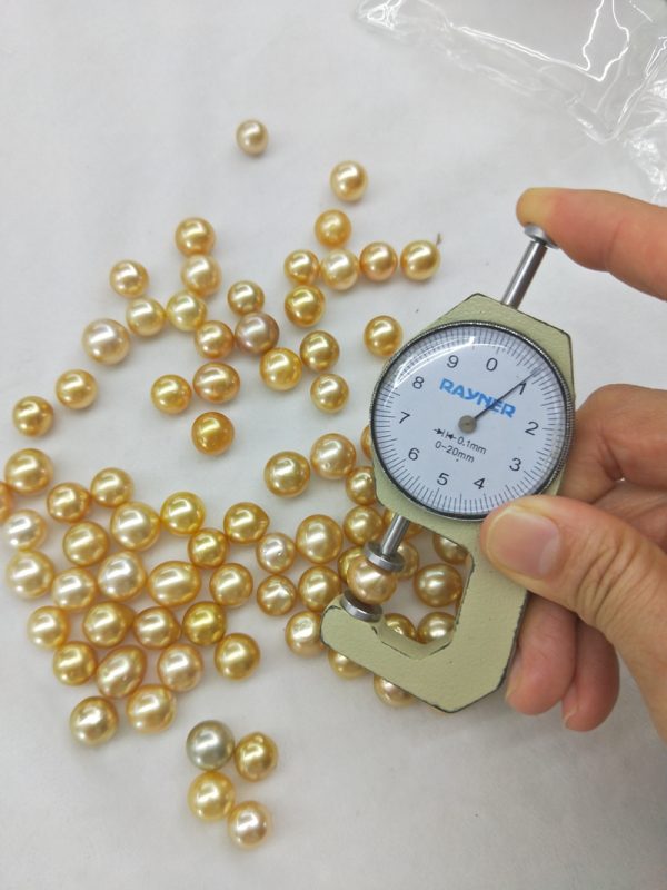10-11mm off round HIGH LUSTER GOLD SOUTH SEA PEARL LOOSE BEADS - Image 5