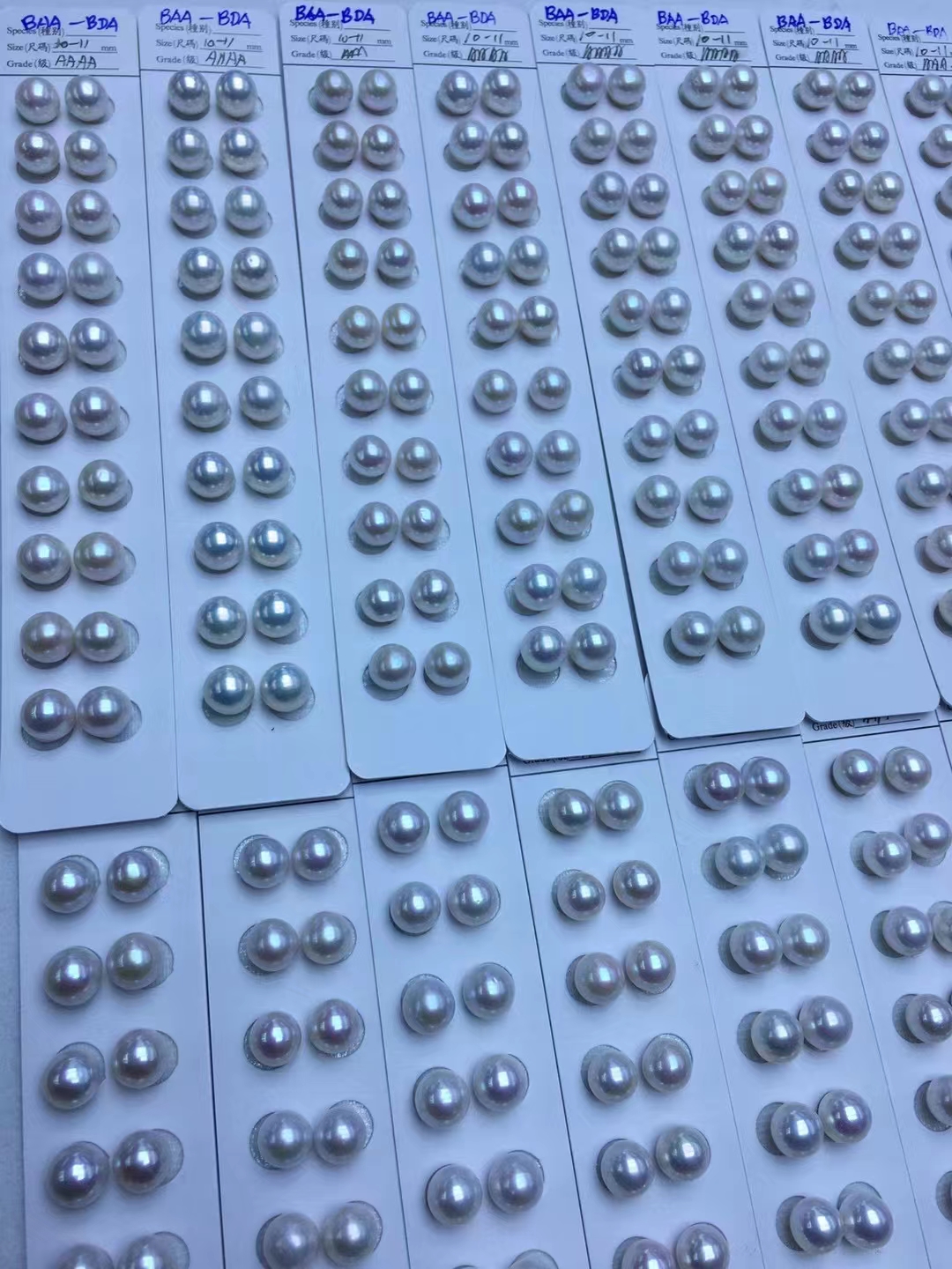 white round edison pearl pairs 10mm