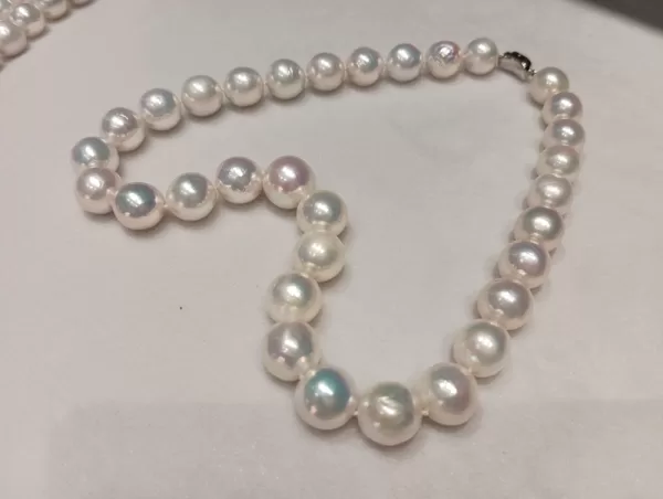 large round freshwater pearl choker necklace