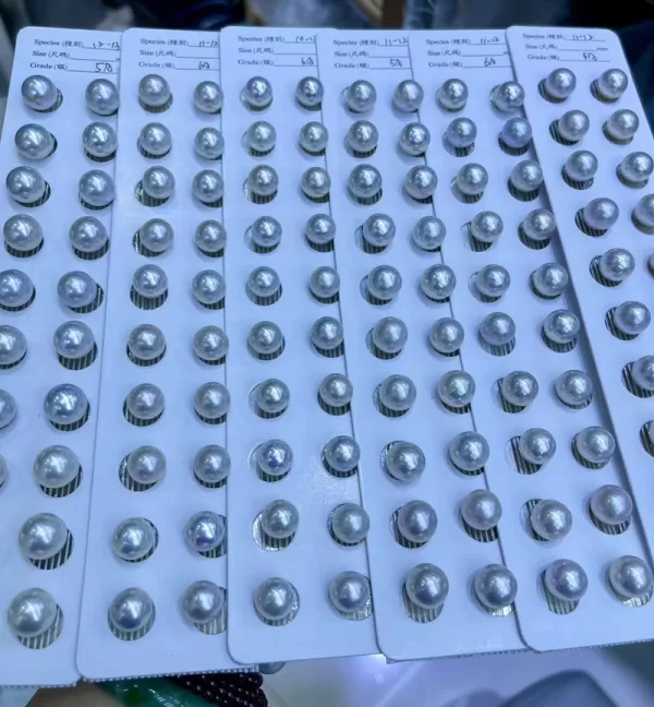 large round nucleated edison freshwater cultured pearl pairs for earring making - Image 3