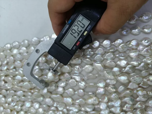 wholesale coin shaped freshwater pearls