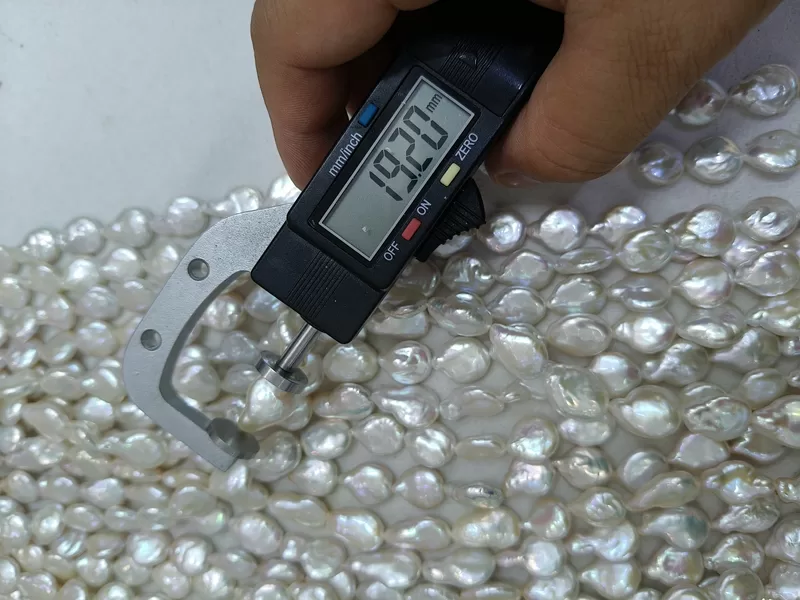 wholesale coin shaped freshwater pearls